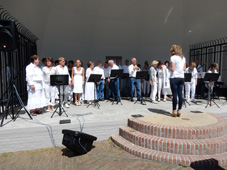 Uitvoering 2015 Muziektuin (25).jpg